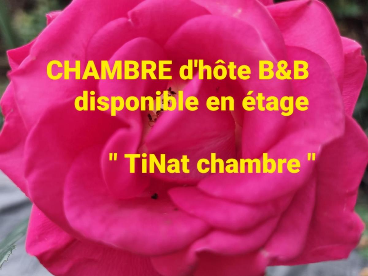 Tinat Studio Douarnenez Exteriör bild